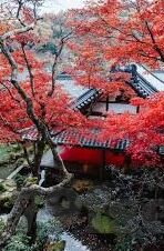 探索便捷新体验，云开全站app登录网页入口全解析